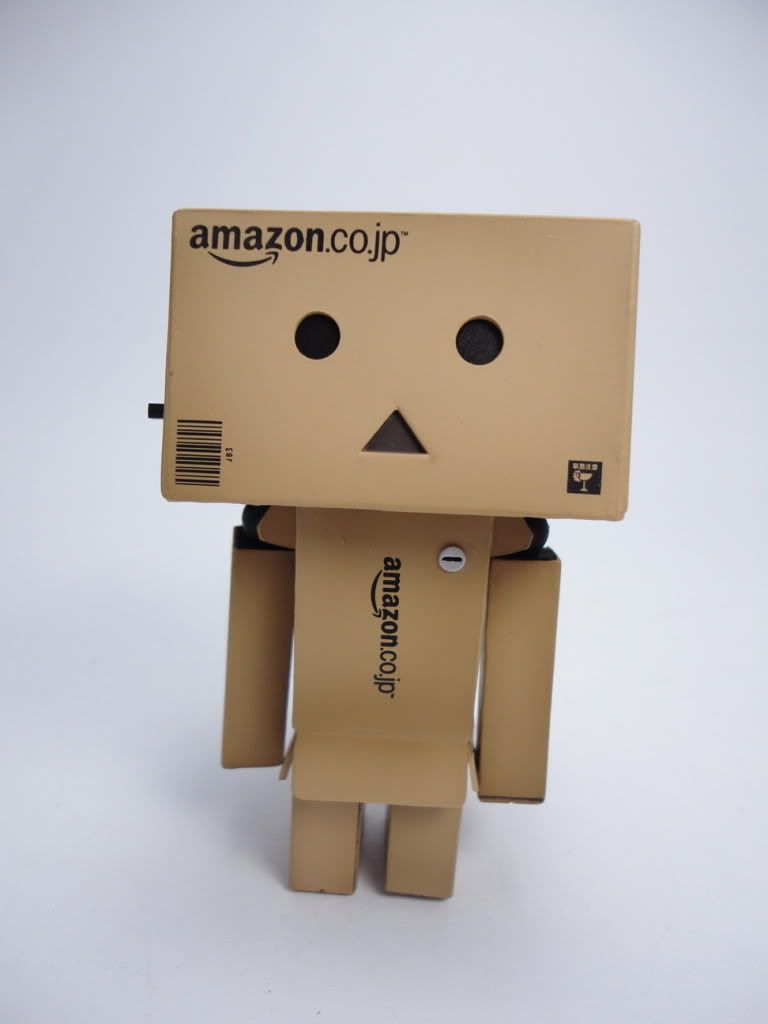 amazon danboard mini